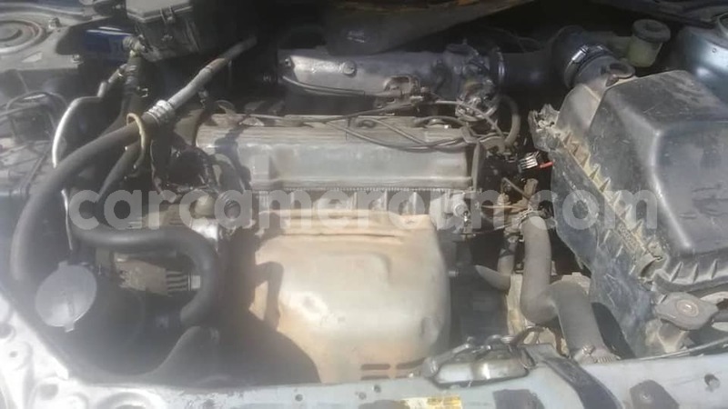 Big with watermark 51852503 3087681064590730 5344417012607090688 n