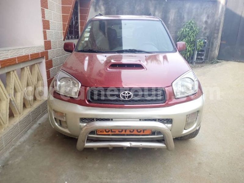 Big with watermark 51616463 10210730480616946 8940898849614987264 o