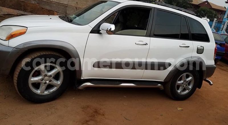 Big with watermark 52033752 181223482851665 7010170759251230720 n