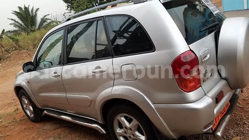 Big with watermark 51754558 181223689518311 920442784664518656 n