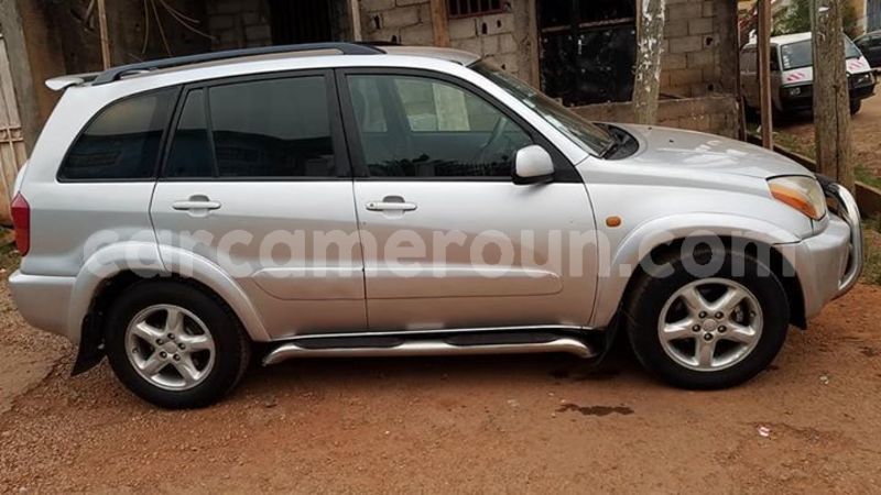 Big with watermark 51102552 181223462851667 5868974270549327872 n