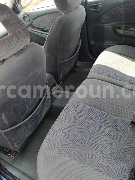 Big with watermark 51754568 251663482441317 4439596737690075136 n