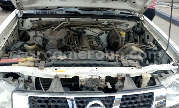 Buy Used Nissan Hardbody White Car in Douala in Littoral Cameroon Buy Used Nissan Hardbody White Car in Douala in Littoral Cameroon