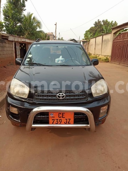 Big with watermark 52011384 1402037583272627 2542327705282543616 n