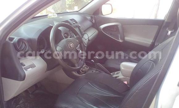 Acheter Occasion Voiture Toyota RAV4 Gris à Douala, Littoral Cameroon Acheter Occasion Voiture Toyota RAV4 Gris à Douala, Littoral Cameroon