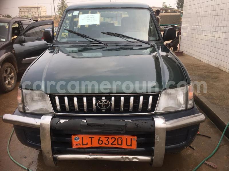 Big with watermark img 20190217 wa0011