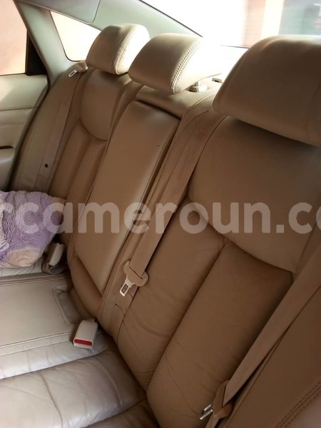 Big with watermark whatsapp image 2019 02 20 at 08.23.03