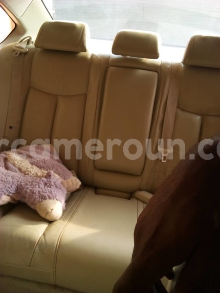 Big with watermark whatsapp image 2019 02 20 at 08.22.57 1