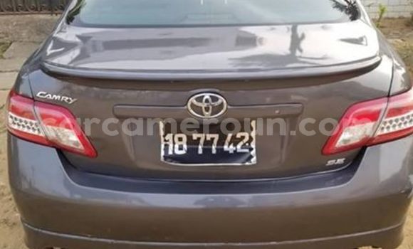 Buy Used Toyota Camry Other Car in Douala in Littoral Cameroon Buy Used Toyota Camry Other Car in Douala in Littoral Cameroon