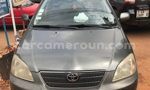 Buy Used Toyota Corolla Other Car in Yaounde in Central Cameroon Buy Used Toyota Corolla Other Car in Yaounde in Central Cameroon