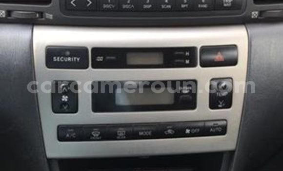 Buy Used Toyota Corolla Other Car in Yaounde in Central Cameroon Buy Used Toyota Corolla Other Car in Yaounde in Central Cameroon