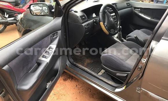 Buy Used Toyota Corolla Other Car in Yaounde in Central Cameroon Buy Used Toyota Corolla Other Car in Yaounde in Central Cameroon
