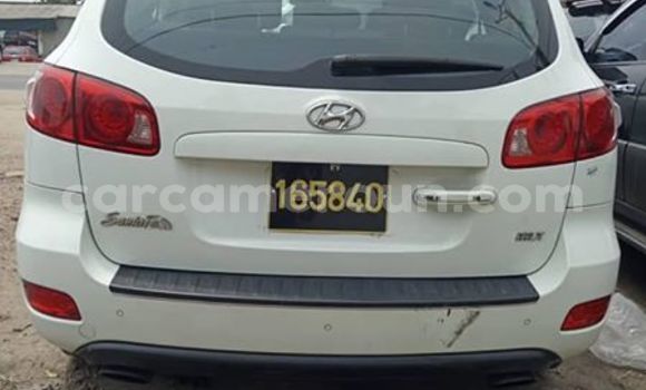 Buy Used Hyundai Santa Fe White Car in Douala in Littoral Cameroon Buy Used Hyundai Santa Fe White Car in Douala in Littoral Cameroon