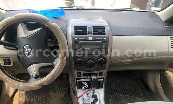 Buy Used Toyota Corolla White Car in Douala in Littoral Cameroon Buy Used Toyota Corolla White Car in Douala in Littoral Cameroon