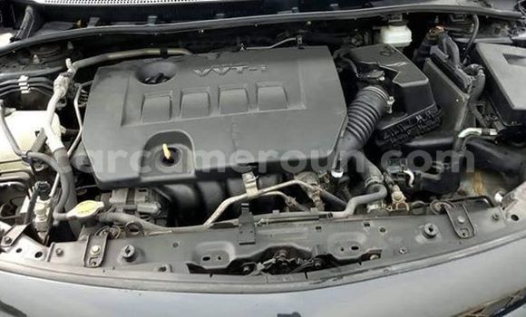Buy Used Toyota Corolla White Car in Douala in Littoral Cameroon Buy Used Toyota Corolla White Car in Douala in Littoral Cameroon