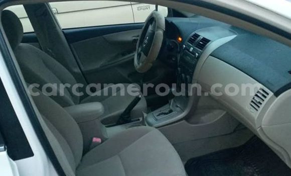 Buy Used Toyota Corolla White Car in Douala in Littoral Cameroon Buy Used Toyota Corolla White Car in Douala in Littoral Cameroon