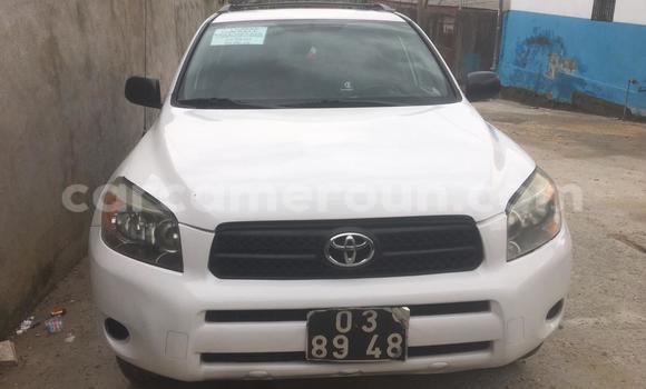 Buy Import Toyota RAV4 White Car in Douala in Littoral Cameroon Buy Import Toyota RAV4 White Car in Douala in Littoral Cameroon
