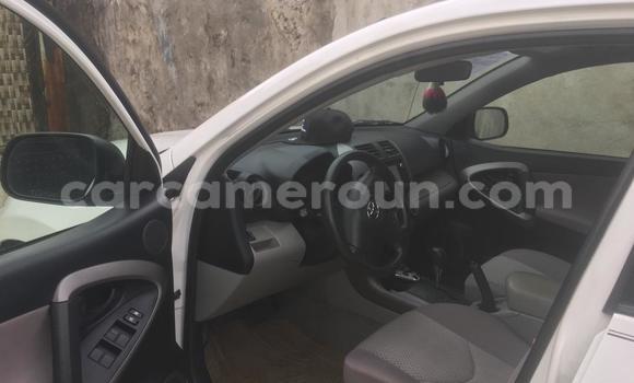 Buy Import Toyota RAV4 White Car in Douala in Littoral Cameroon Buy Import Toyota RAV4 White Car in Douala in Littoral Cameroon