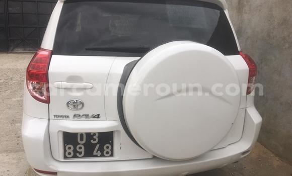 Buy Used Toyota RAV4 White Car in Douala in Littoral Cameroon Buy Used Toyota RAV4 White Car in Douala in Littoral Cameroon