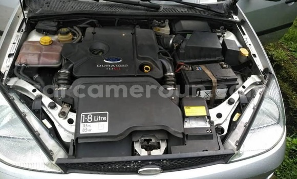 Buy Used Ford Focus Silver Car in Douala in Littoral Cameroon Buy Used Ford Focus Silver Car in Douala in Littoral Cameroon