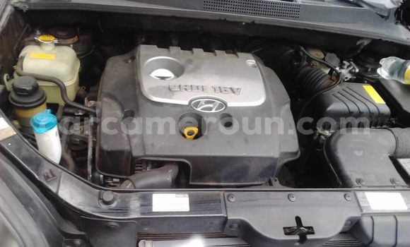 Buy Used Hyundai Tucson Silver Car in Douala in Littoral Cameroon Buy Used Hyundai Tucson Silver Car in Douala in Littoral Cameroon