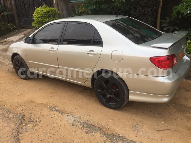 Big with watermark b76692f7 ff22 4edb 9796 669d2befb9cd