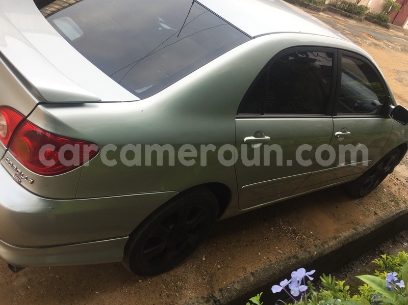 Big with watermark 6bb386e6 2c6e 4460 918b 96bbeb9b17a3