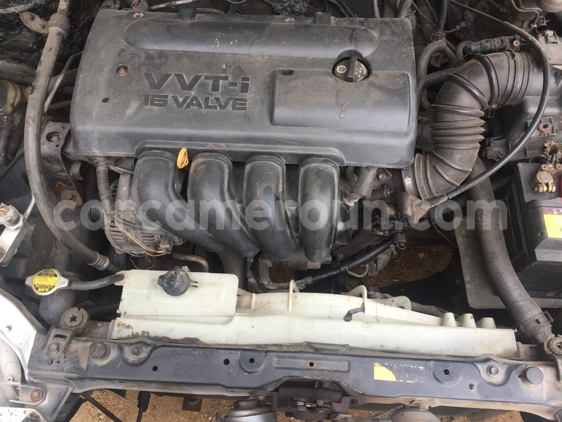 Big with watermark 437465f4 268e 4c8f 946c 86f5bdd3486d