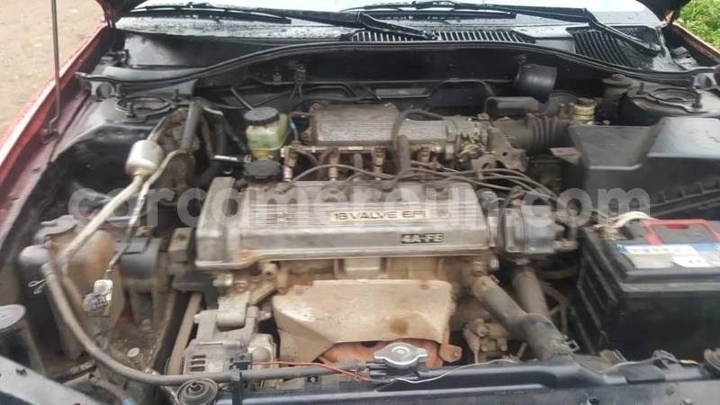 Big with watermark whatsapp image 2019 03 15 at 15.22.06 1