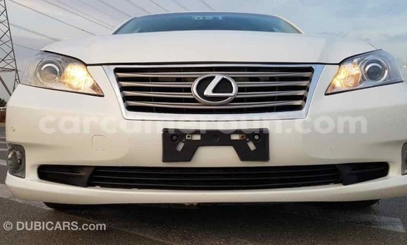 Acheter Import Voiture Lexus ES Blanc à Import - Dubai, Adamawa Acheter Import Voiture Lexus ES Blanc à Import - Dubai, Adamawa