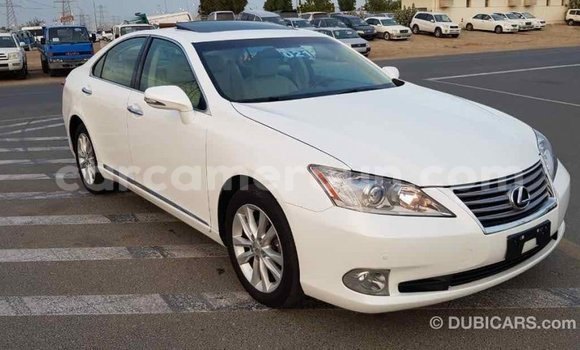 Acheter Import Voiture Lexus ES Blanc à Import - Dubai, Adamawa Acheter Import Voiture Lexus ES Blanc à Import - Dubai, Adamawa