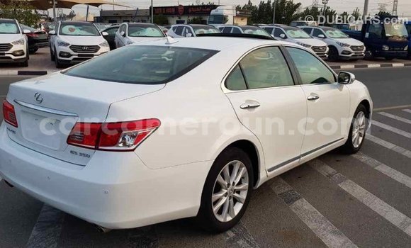 Acheter Import Voiture Lexus ES Blanc à Import - Dubai, Adamawa Acheter Import Voiture Lexus ES Blanc à Import - Dubai, Adamawa
