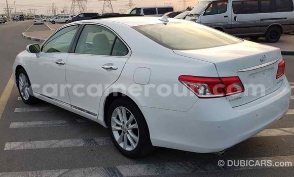 Acheter Import Voiture Lexus ES Blanc à Import - Dubai, Adamawa Acheter Import Voiture Lexus ES Blanc à Import - Dubai, Adamawa