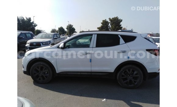 Sayi Imported Hyundai Santa Fe White Mota in Import - Dubai a Adamawa Sayi Imported Hyundai Santa Fe White Mota in Import - Dubai a Adamawa