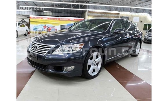 Sayi Imported Lexus LS Sauran Mota in Import - Dubai a Adamawa