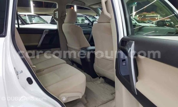 Sayi Imported Toyota Prado White Mota in Import - Dubai a Adamawa Sayi Imported Toyota Prado White Mota in Import - Dubai a Adamawa
