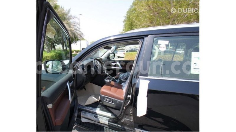 Big with watermark 8c00c2de 2f76 4fce 8e55 55cbbc342a61