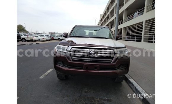 Buy Import Toyota Land Cruiser Brown Car in Import - Dubai in Adamawa Buy Import Toyota Land Cruiser Brown Car in Import - Dubai in Adamawa