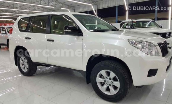 Sayi Imported Toyota Prado White Mota in Import - Dubai a Adamawa Sayi Imported Toyota Prado White Mota in Import - Dubai a Adamawa