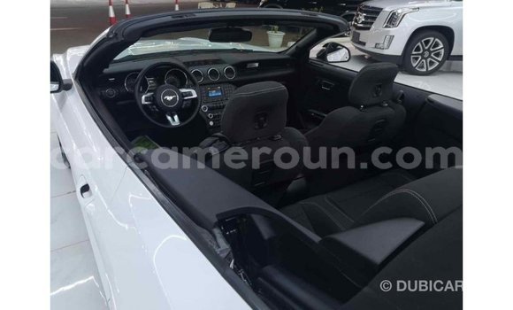 Sayi Imported Ford Mustang White Mota in Import - Dubai a Adamawa Sayi Imported Ford Mustang White Mota in Import - Dubai a Adamawa