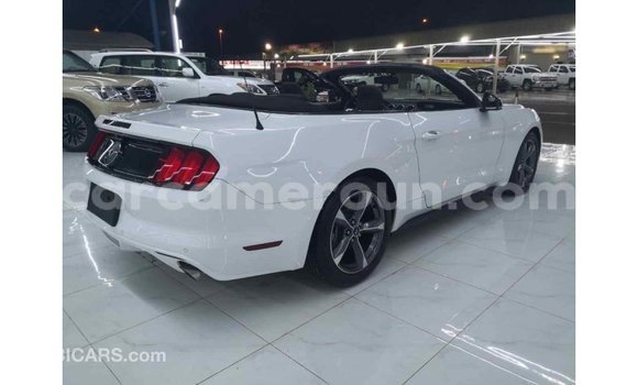 Sayi Imported Ford Mustang White Mota in Import - Dubai a Adamawa Sayi Imported Ford Mustang White Mota in Import - Dubai a Adamawa