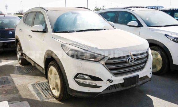 Acheter Import Voiture Hyundai Tucson Blanc à Import - Dubai, Adamawa Acheter Import Voiture Hyundai Tucson Blanc à Import - Dubai, Adamawa