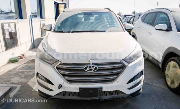 Acheter Import Voiture Hyundai Tucson Blanc à Import - Dubai, Adamawa Acheter Import Voiture Hyundai Tucson Blanc à Import - Dubai, Adamawa