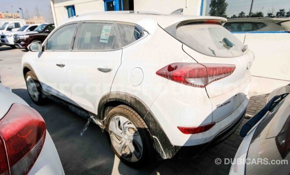 Acheter Import Voiture Hyundai Tucson Blanc à Import - Dubai, Adamawa Acheter Import Voiture Hyundai Tucson Blanc à Import - Dubai, Adamawa