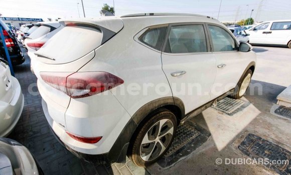 Acheter Import Voiture Hyundai Tucson Blanc à Import - Dubai, Adamawa Acheter Import Voiture Hyundai Tucson Blanc à Import - Dubai, Adamawa
