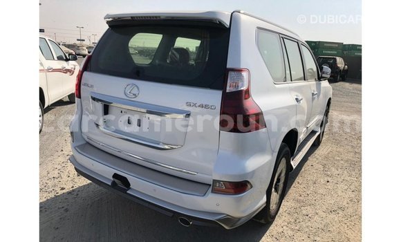 Sayi Imported Lexus GX White Mota in Import - Dubai a Adamawa Sayi Imported Lexus GX White Mota in Import - Dubai a Adamawa