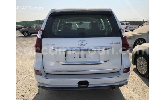 Sayi Imported Lexus GX White Mota in Import - Dubai a Adamawa Sayi Imported Lexus GX White Mota in Import - Dubai a Adamawa
