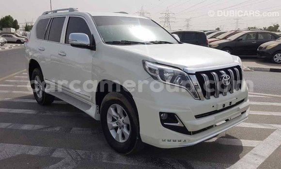 Acheter Import Voiture Toyota Prado Blanc à Import - Dubai, Adamawa Acheter Import Voiture Toyota Prado Blanc à Import - Dubai, Adamawa