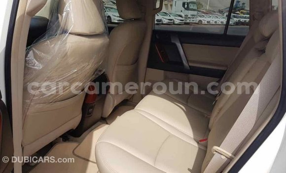 Acheter Import Voiture Toyota Prado Blanc à Import - Dubai, Adamawa Acheter Import Voiture Toyota Prado Blanc à Import - Dubai, Adamawa