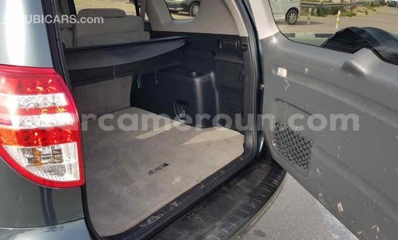 Acheter Import Voiture Toyota RAV4 Vert à Import - Dubai, Adamawa Acheter Import Voiture Toyota RAV4 Vert à Import - Dubai, Adamawa